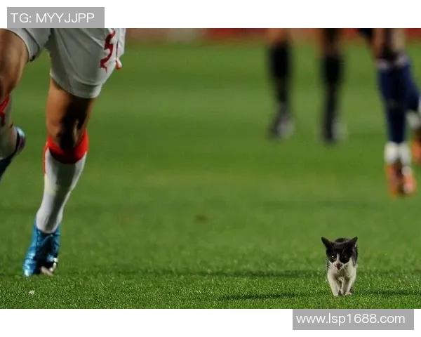 动物世界中的足球明星们如何在绿茵场上展现独特魅力与惊人技巧 动物世界中的足球明星们如何在绿茵场上展现独特魅力与惊人技巧